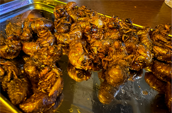 这些肉比鸡鸭鱼肉更有营养：但是很多人没吃过