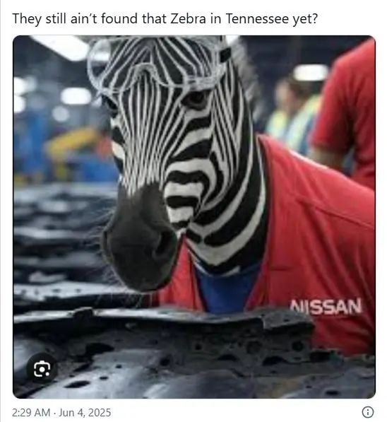 上天了：美国宠物斑马大逃亡 自由一周被飞机吊回家