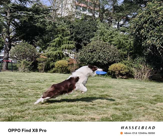 OPPO Find X8 Pro怎么样 OPPO Find X8 Pro详细评测插图20