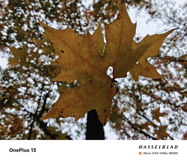 一加13手机怎么样 一加13手机详细评测插图17 一加13手机怎么样 一加13手机详细评测插图17