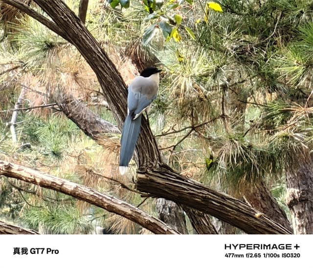 真我GT7 Pro体验怎么样 真我GT7 Pro体验评测插图66