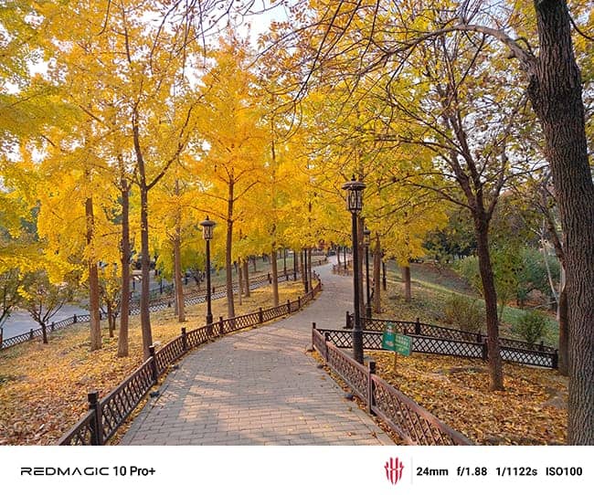 红魔10 Pro+手机怎么样 红魔10 Pro+手机评测插图36