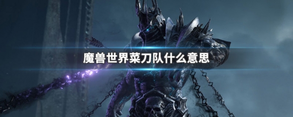 魔兽世界菜刀队什么意思
