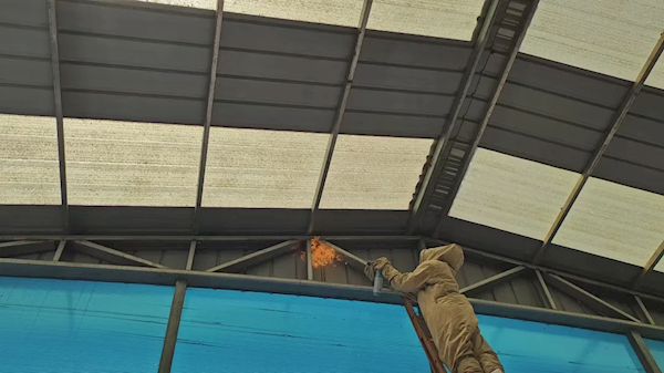 北京一居民家惊现20个马蜂窝 消防员一锅全端走