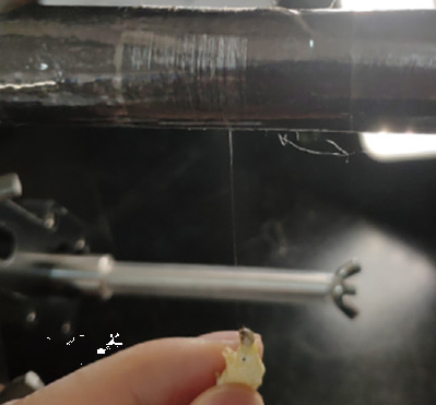 超强蜘蛛丝的前世今生