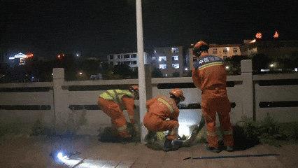 夜惊魂！3米巨蟒街头“闲逛” 3名消防员紧急出动