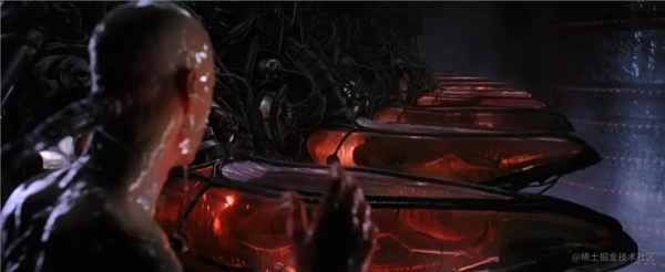 用人脑细胞跑AI 我快搞不懂这个世界了