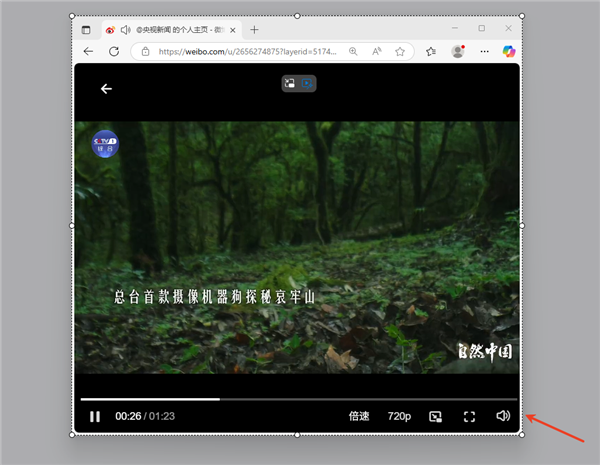 小旺AI截图V1.1.6新版发布 截图精准度提升
