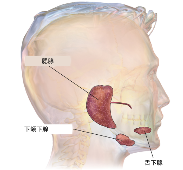 这种饮品全球风靡：但有喝过的人评价“像舔了一口凉席”