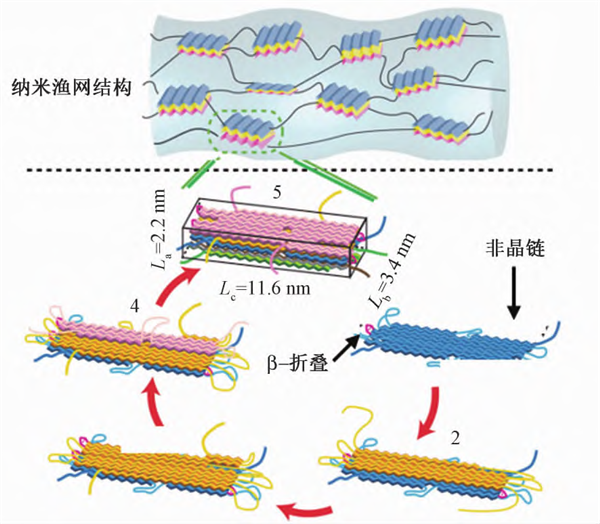 超强蜘蛛丝的前世今生