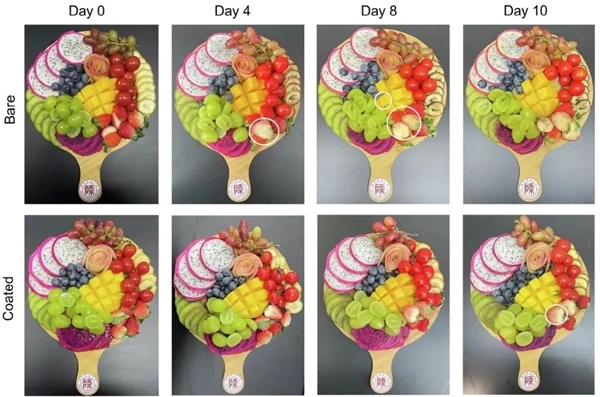 中国科学家神奇新发现：果切放10天都不会坏