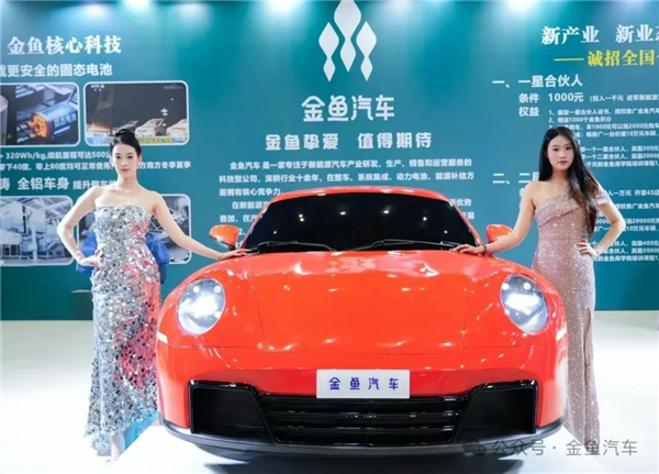 从做老鼠药转行造车 金鱼汽车愣是给我CPU看烧了