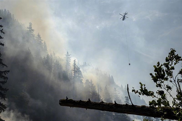 加拿大又烧起来了！当前发生225处山火：浓烟飘到了欧洲
