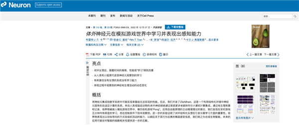 用人脑细胞跑AI 我快搞不懂这个世界了