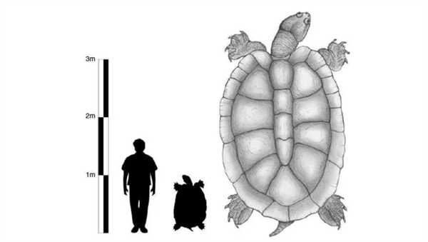 地球最大规模的“矿物质迁徙” 拯救了亚马逊雨林插图3 地球最大规模的“矿物质迁徙” 拯救了亚马逊雨林