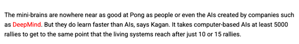 用人脑细胞跑AI 我快搞不懂这个世界了