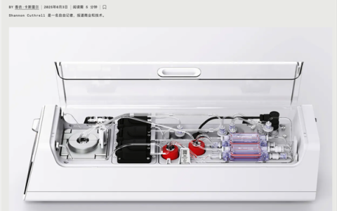 用人脑细胞跑AI 我快搞不懂这个世界了