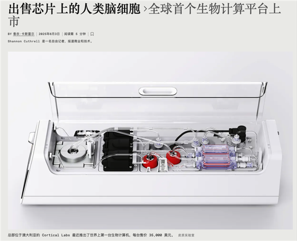 用人脑细胞跑AI 我快搞不懂这个世界了