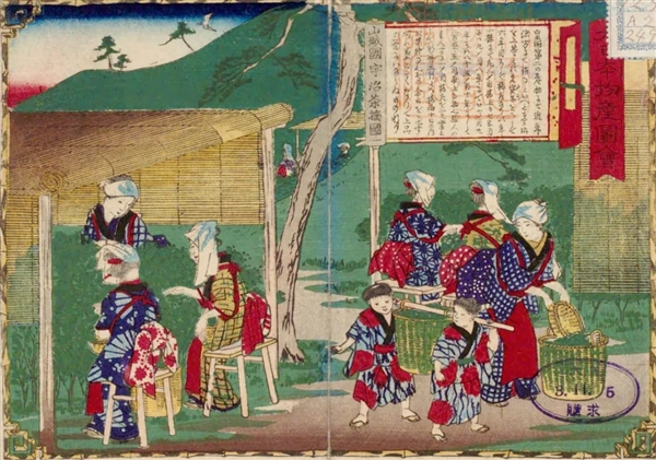 这种饮品全球风靡：但有喝过的人评价“像舔了一口凉席”