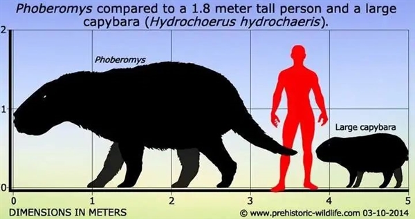 地球最大规模的“矿物质迁徙” 拯救了亚马逊雨林插图4 地球最大规模的“矿物质迁徙” 拯救了亚马逊雨林