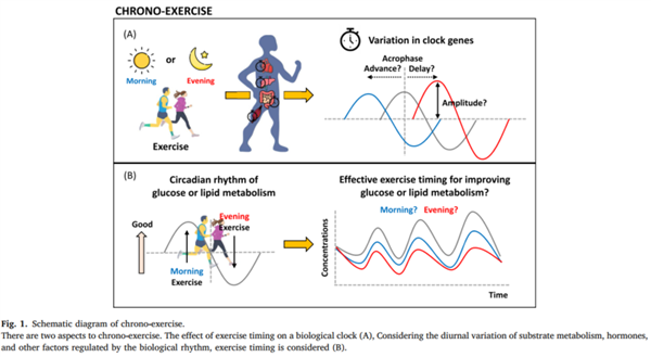 熬夜后千万别做这件事！