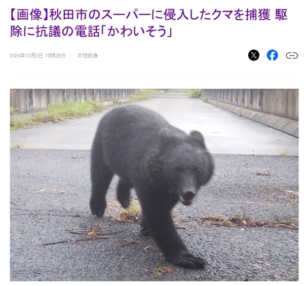 日本一机场有熊出没在跑道上撒欢:致10个航班取消插图2 日本一机场有熊出没在跑道上撒欢:致10个航班取消