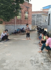 澳洲鹦鹉会开饮水器排队喝水 排队10分钟也不走