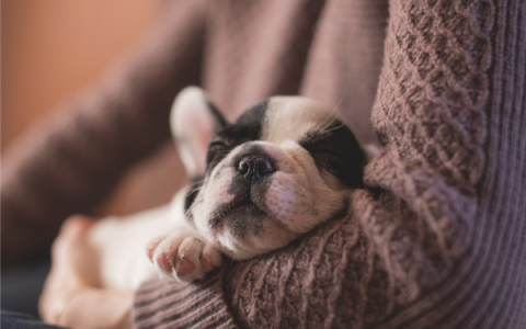 网红“秒睡法”：牛奶+褪黑素 效果堪比被打晕