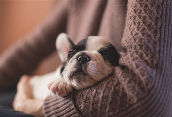 网红“秒睡法”：牛奶+褪黑素 效果堪比被打晕