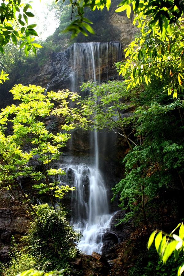 你心动吗！神农架景区招野人早八晚五 日薪500元 严禁说人话