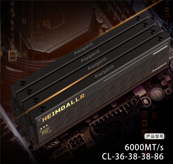 阿斯加特首款国产DDR5内存发布：32GB 6000CL36要价559元