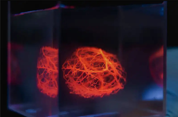 科学家成功为人工器官3D打印血管网络：计划5年内在猪身上3D打印器官