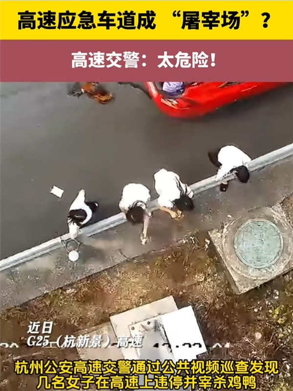 高速上离谱一幕：四名女子在应急车道上杀鸡宰鸭