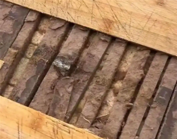 赶紧自查！女子劈开用了几年的菜板：全都发霉变质