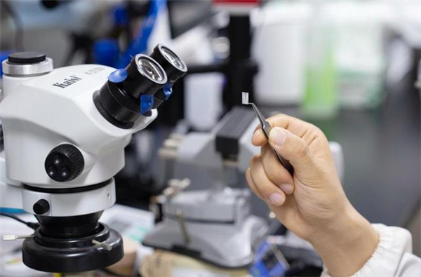 全球首例！复旦新研究使失明动物恢复光视觉能力