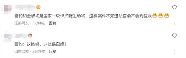 雪豹闯入30米高巢穴咬死两只幼年金雕  “作案”后未捕食躲树丛里