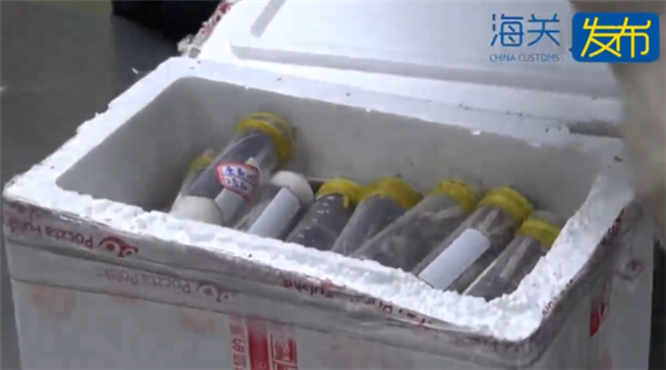 “女士上衣”快递被截获 打开大吃一惊：7400只蚂蚁