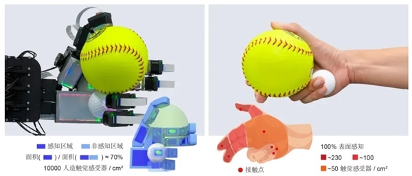 我国仿生手新突破：首次实现类人水平的自适应抓取