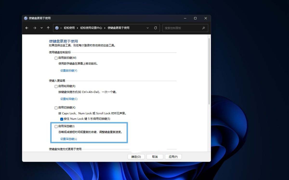 windows筛选键有什么用? Windows筛选键开启关闭以及设置指南插图4