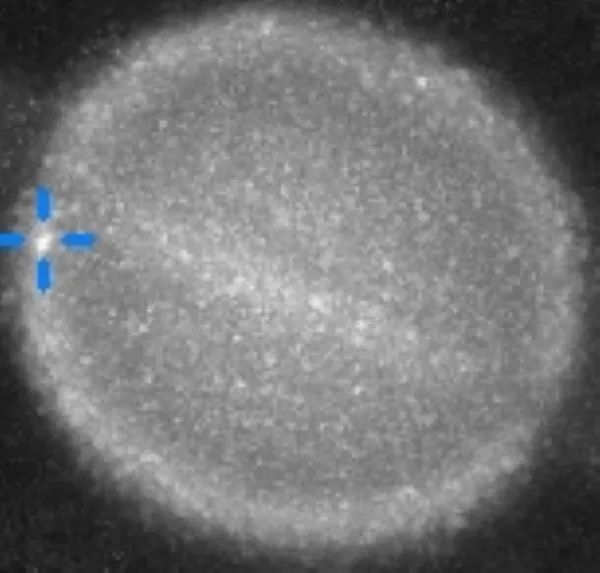 土星：我好像被一个不明物体撞了一下腰