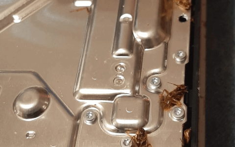 恶心慎入！玩家买二手PS5 Slim里面都是蟑螂尸体