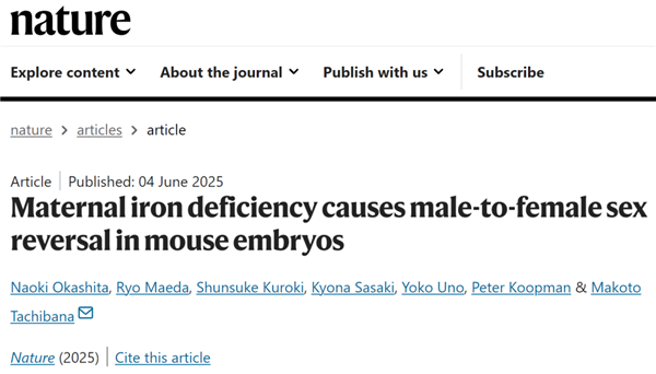 顶级期刊《自然》：母亲孕期缺铁 会让胎儿从男孩变女孩
