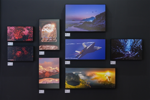 雷克沙惊喜亮相2025上海P&I展 全场景存储生态引领影像未来