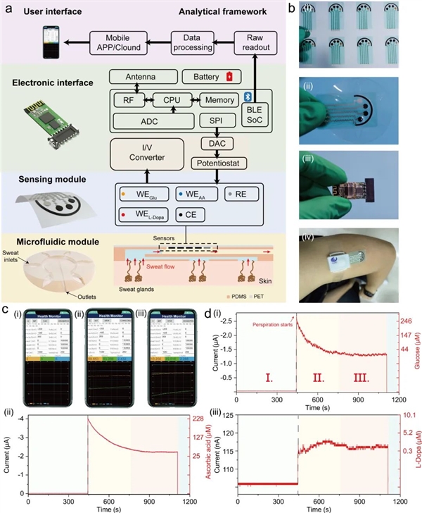 中科院研发可穿戴汗液监测系统：手机APP实时监测疾病