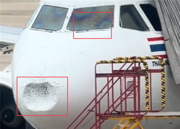 风挡受损、雷达罩凹陷 亚航航班遇险后乘客发声