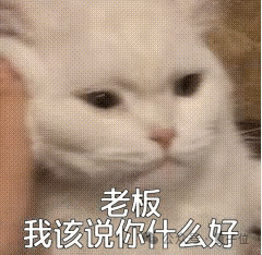 一份假简历领5份硅谷工资！印度老哥骗了一群AI初创公司