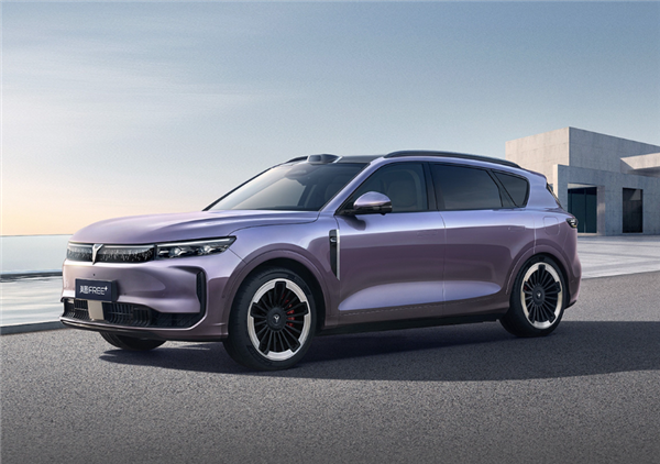 岚图CEO：某些车企通过营销营造稀缺感 诱引用户激情下单