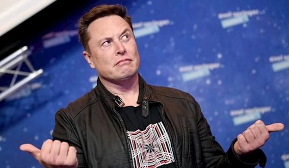 特朗普驳斥马斯克：拿的补贴比谁的都多 没补贴就要回南非老家了