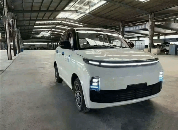 老头乐厂家把“理想L1、理想没噶”都造出来了 网友：你就说像不像吧