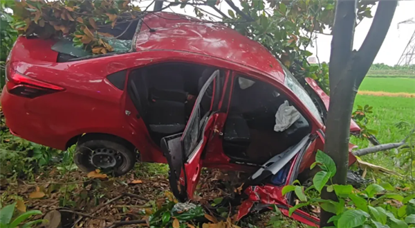 情侣吵架 女司机一脚油门飞车上树 自己脱困把男友晾树上